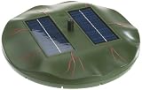 Ing. G. Beckmann KG SOC Solarinsel mit Frosch