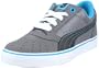 Puma Sky 2 Low Vulc 353272, Unisex - Erwachsene Klassische Sneakers, Grau (steel grey-black-dresden 07), EU 38.5 (UK 5.5) (US 6.5)