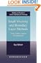 Small Viscosity and Boundary Layer Methods: Theory, Stability Analysis, and Applications (Modeling and Simulation in Science, Engineering and Technology)