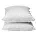 White T-200 100% Cotton Pillow Cover 2Pk - Std/queen