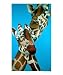 Giraffe pair