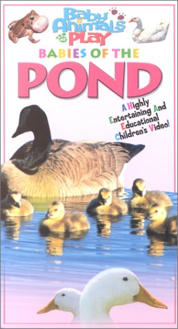 Play Groups