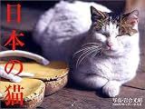日本の猫 2006年カレンダー の評価・レビュー