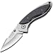 Sporting Goods : Buck 270BK Alpha Dorado, Liner Lock Folding Knife