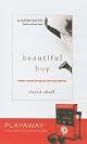 Beautiful Boy: A Father's Journey Through His Son's Crystal Meth Addiction