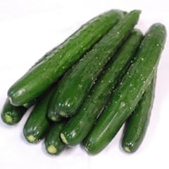 〔お徳用〕【福岡県産】きゅうり（キュウリ）　1kg