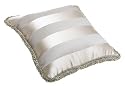 Waterford Bryanne 12 by 12-Inch Decorative Pillow, Platinum