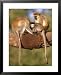 Vervet Monkeys, Tanzania Animals Framed Art Poster Print by Elizabeth DeLaney, 25x31