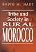 Book Tribe and Society in Rural Morocco (History and Society in the Islamic World)