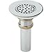 Elkay LK18B Type 304 Stainless Steel Drain Fitting with Perforated 3