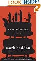 A Spot of Bother: A Novel