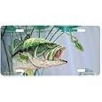 Bass and Leopard Frog - Large Mouth Bass Art Print - Magnet By Don Ray From Airstrike