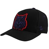 Zephyr Arizona Wildcats Black X-Ray Fitted Hat (7 3/4)