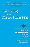 Working with Mindfulness: Keeping calm and focused to get the job done