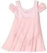 Disney Princess By Capezio Girls 2-6x Empire Dress