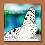 Transformation Music CD