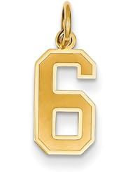 14k Yellow Gold Small Satin Number 6 Charm Pendant. Metal Wt- 0.56g