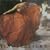 Tindersticks (Premier Album)