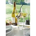 Set of 2 Wine Chill Drops