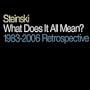 What Does It All Mean? - 1983-2006 Retrospective