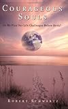 Your Soul's Plan: Discovering the Real Meaning of the Life You Planned Before You Were Born