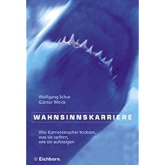 Wahnsinnskarriere (Broschiert)