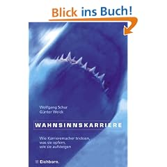 Wahnsinnskarriere: Wie Karrieremacher tricksen, was sie opfern, wie sie aufsteigen