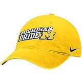 Nike Michigan Wolverines Gold 6th Man Campus Hat