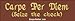 Carpe per Diem. Seize the check - funny bumper stickers (Medium 10x2.8 in.)