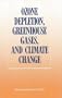 Ozone Depletion, Greenhouse Gases, and Climate Change