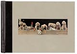 William Wegman Photo Album