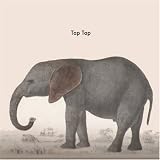 Tap Tap - Lanzafame