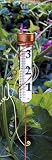 Conant Custom VRG6 Brass Grande View Rain Gauge with Spiral Stake