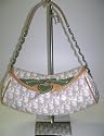 Christian Dior Trotter Logo Canvas LCE44722 Handbags