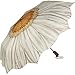 White Daisy Women's Compact Umbrella Auto Button Open Gift