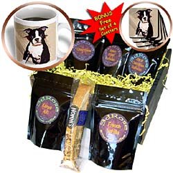 Dogs Boston Terrier - Boston Terrier - Coffee Gift Baskets - Coffee Gift Basket by 3dRose LLC