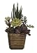 Artificial Succulent Garden