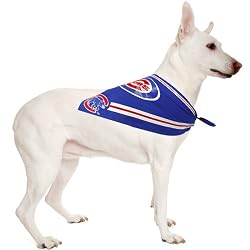Chicago Cubs - Bandana - Small