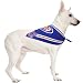 Chicago Cubs - Bandana - Small