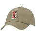 Apparel : Nike Illinois Fighting Illini Khaki 3D Tailback Hat