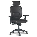 9696JH Sealy Posturepedic  Zen Ergonomic Leather Executive Chair With Headrest