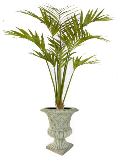 9FT KENTIA PALM TREE