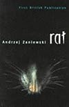 Rat