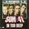 Sum 41 Foto 6