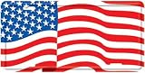 American Flag Stamped License Tag