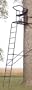 16' The Executive� Ladder Stand from Big Game� Treestands