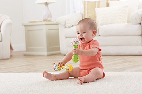Fisher-Price-Rattle-and-Rock-Maracas-Musical-Toy