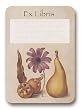 Botanical Fruit & Flower - Set of 20 Adhesive Bookplates