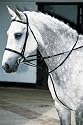 Market Harborough-Black- Cob/Full
