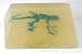 Baby : Lizard vegetable glycerin soap